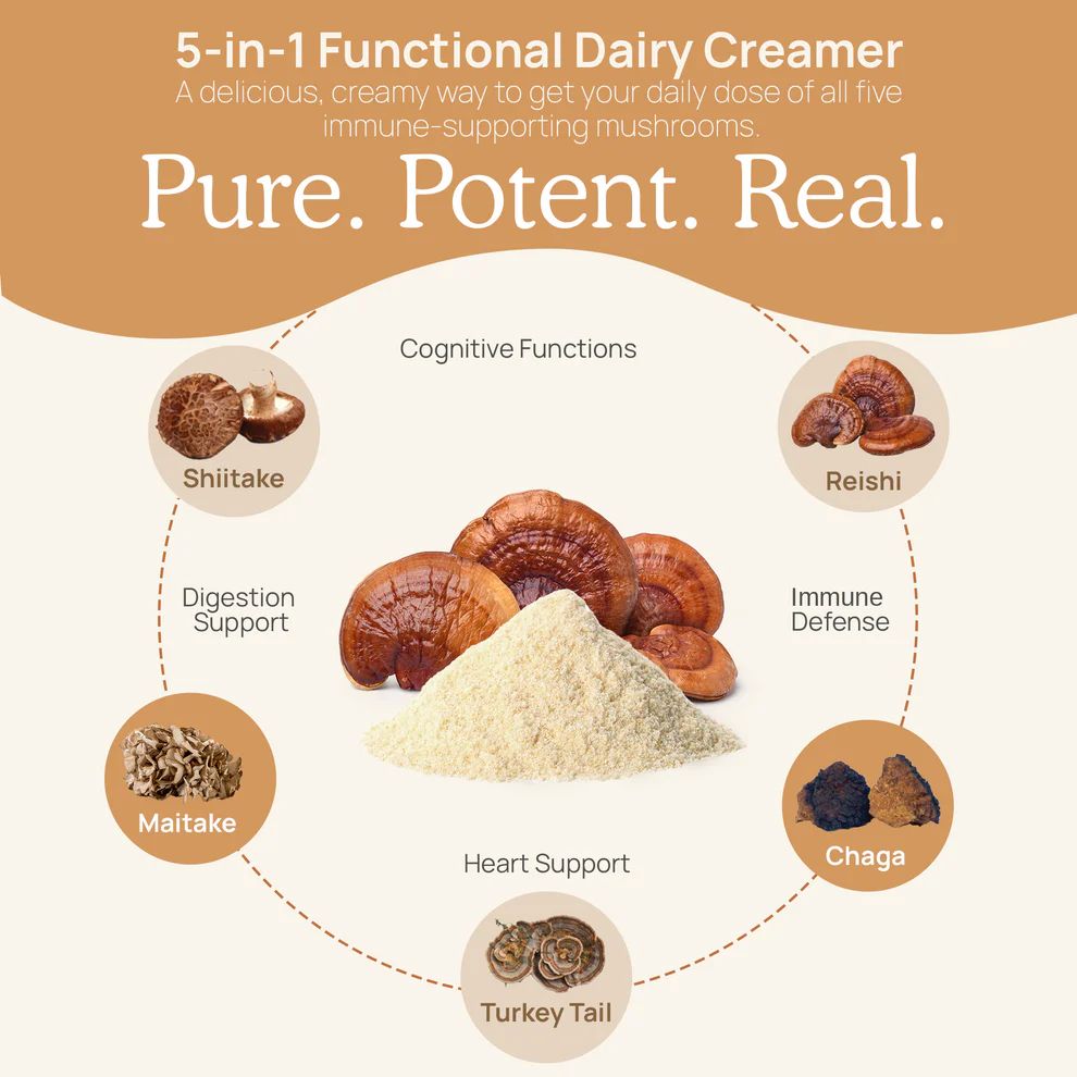 Functional Dairy Creamer Powder -180 gr Powder Real Mushrooms