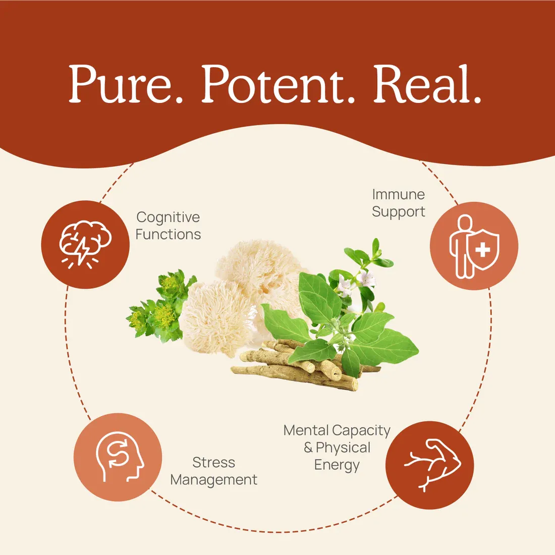 RealClarity 60 Capsules Real Mushrooms