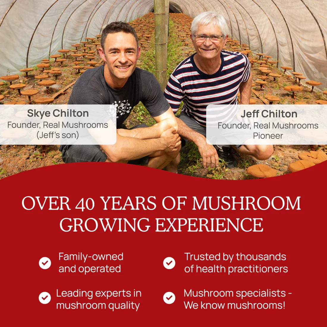 RealClarity 60 Capsules Real Mushrooms