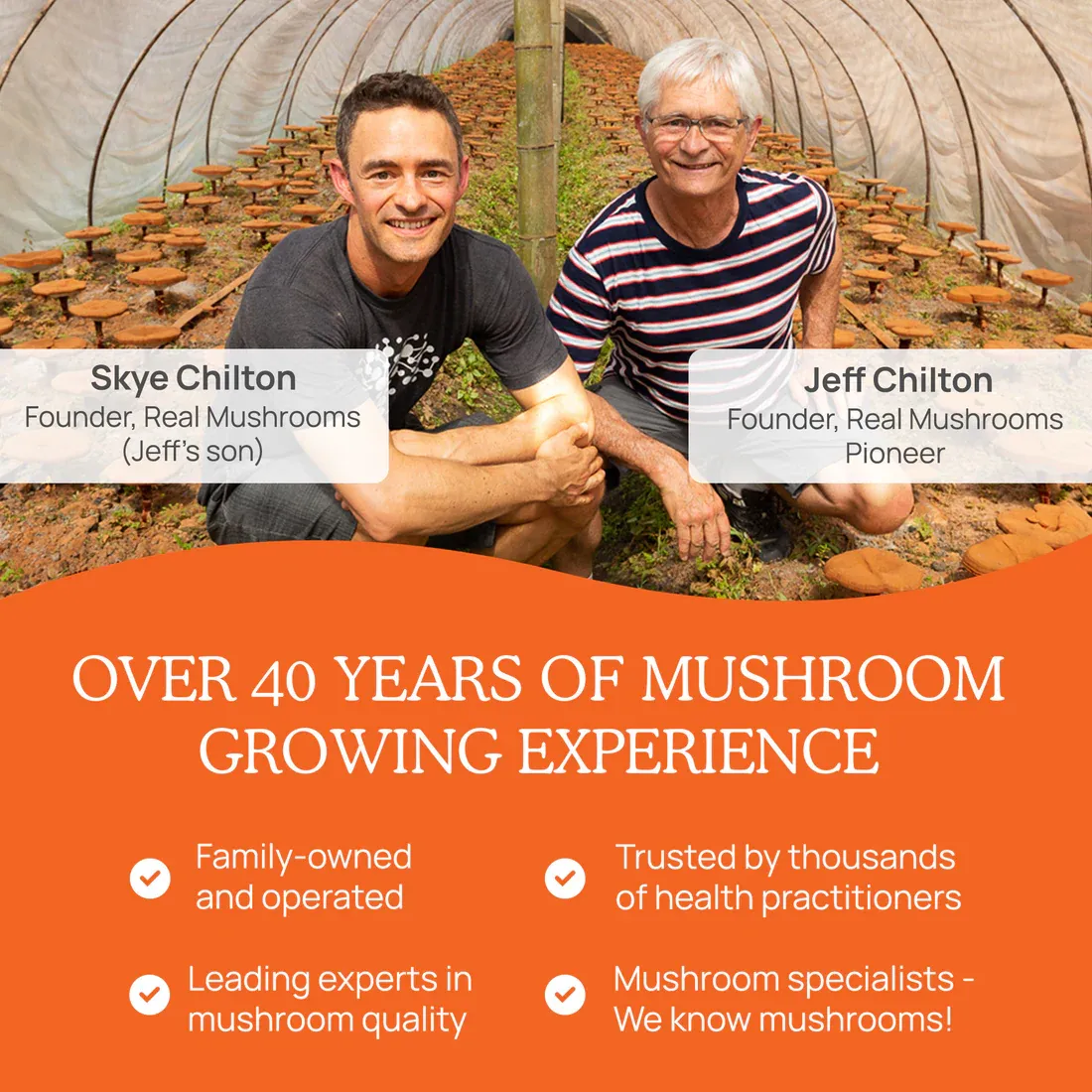 RealBoost 500 mg 60 Capsules Real Mushrooms