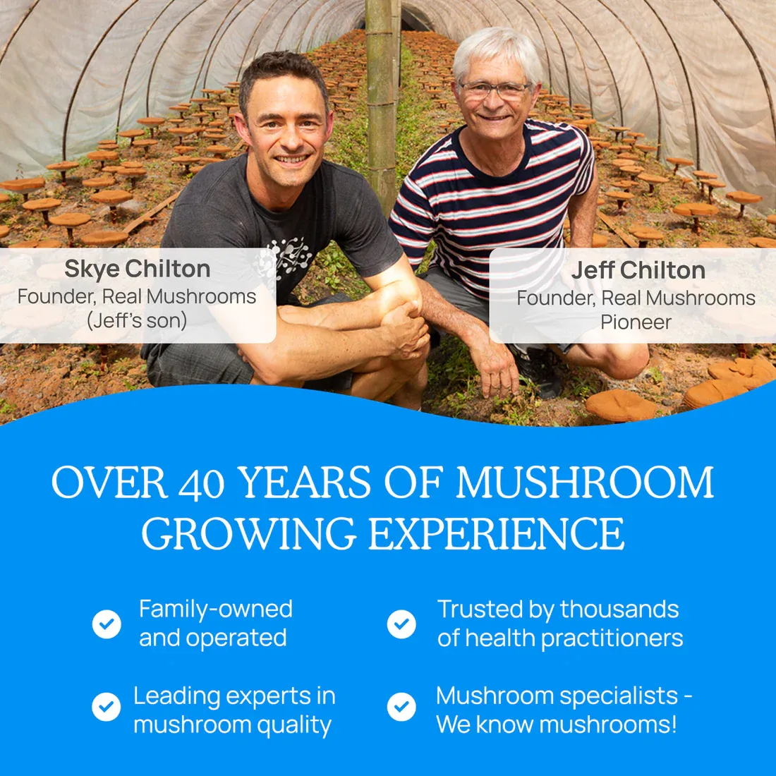RealRest 60 Capsules Real Mushrooms