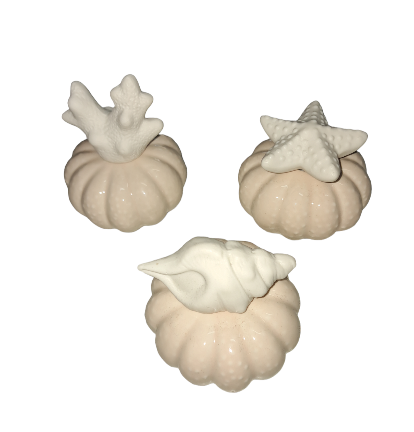 Profumatori marini in ceramica