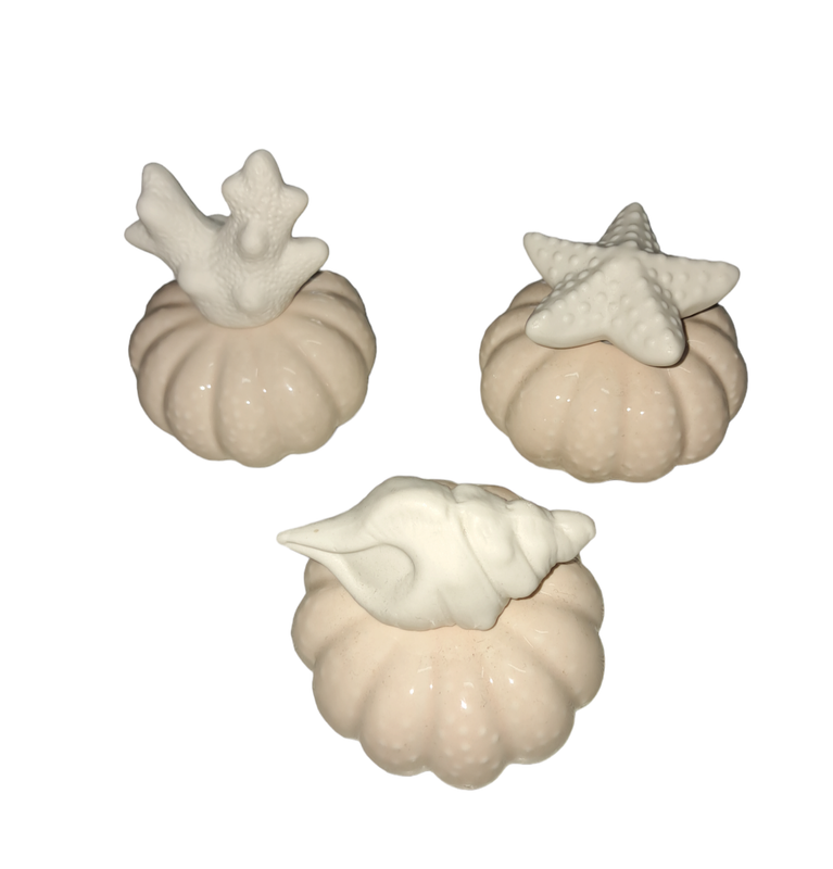 Profumatori marini in ceramica