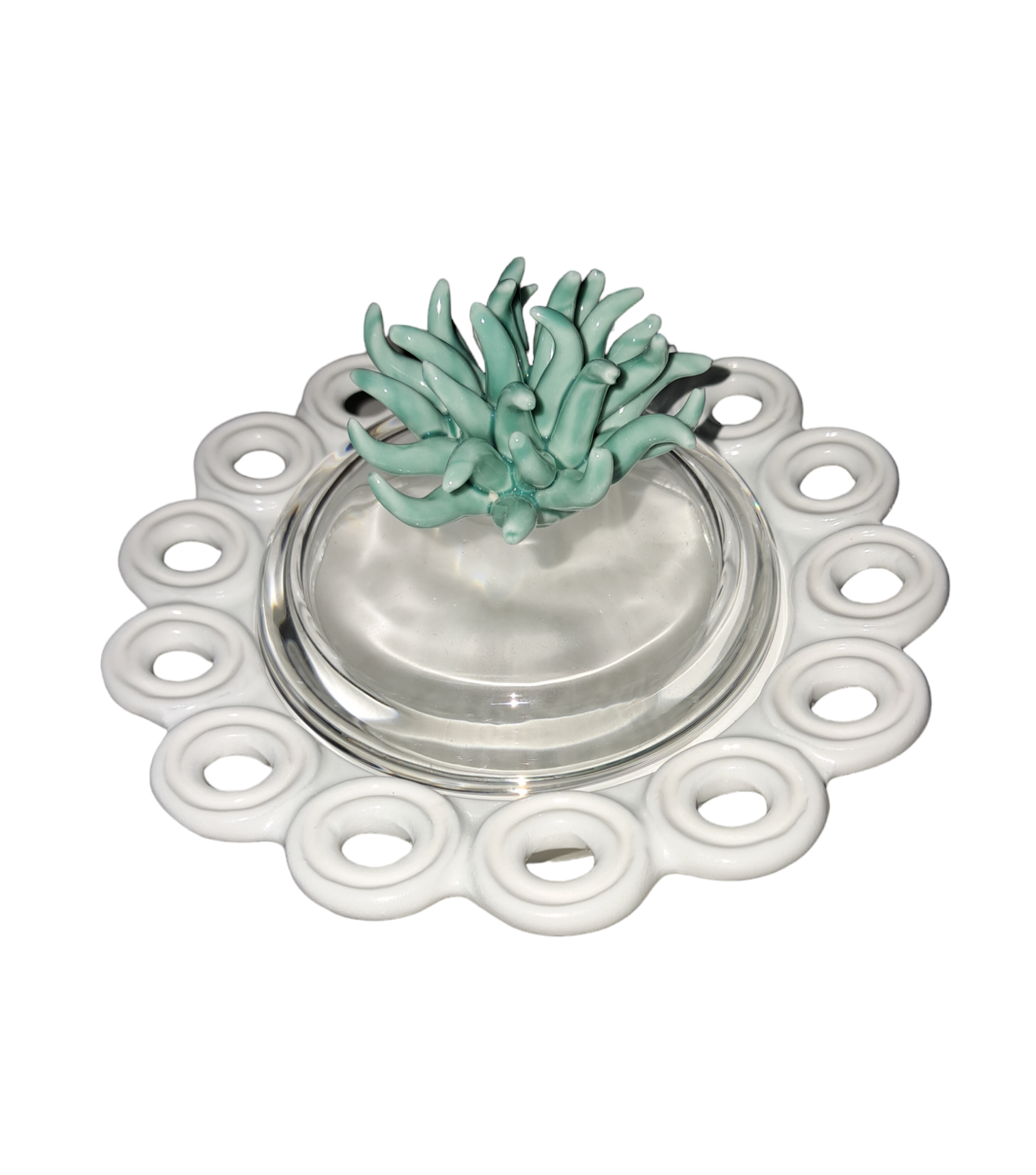 scatolina anemone