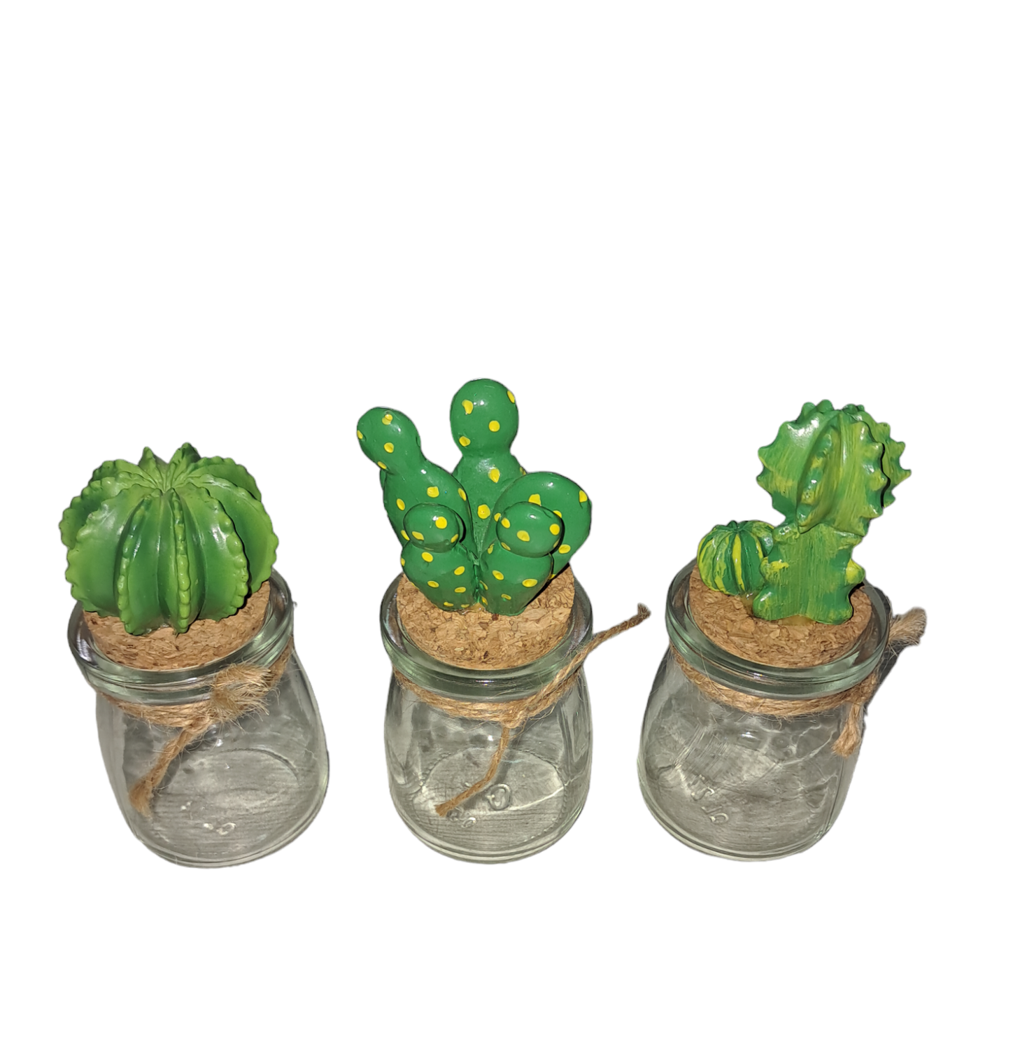 barattolino tappo cactus