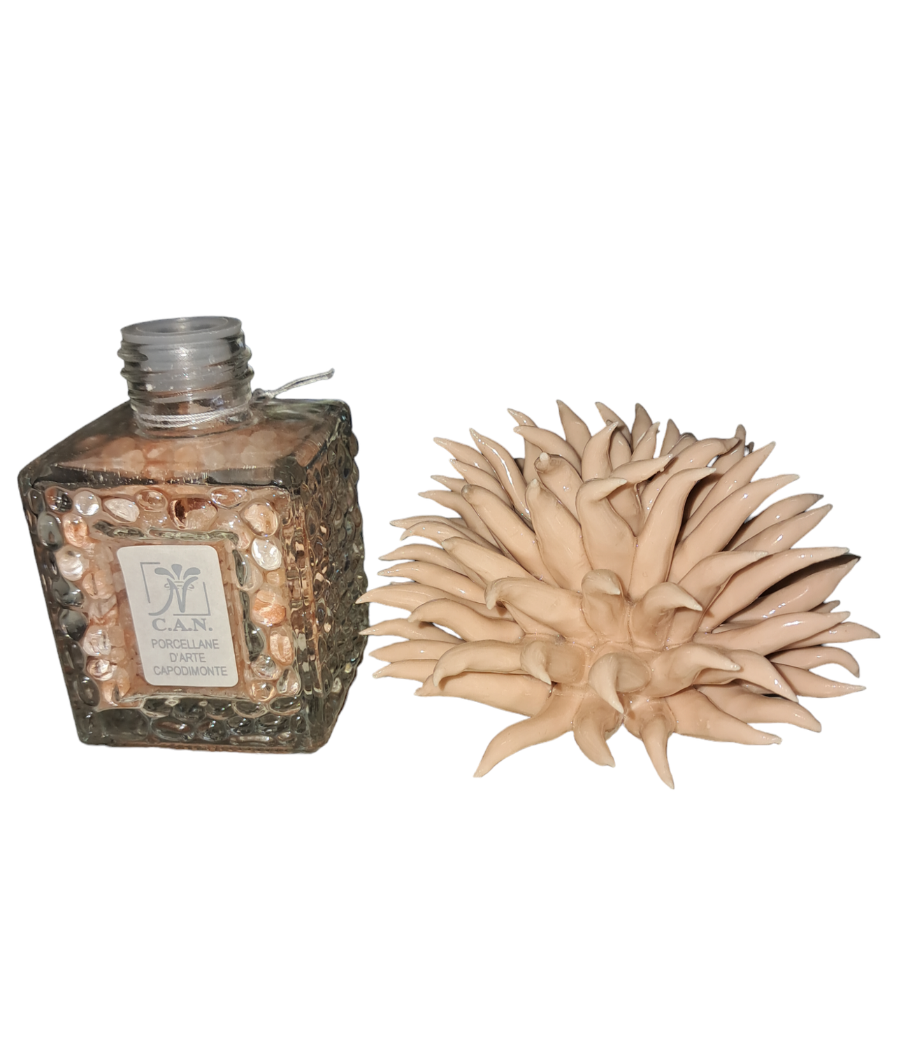 sali da bagno con anemone rosa