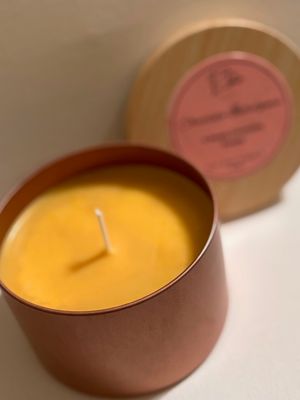 Chocolate Indulgence