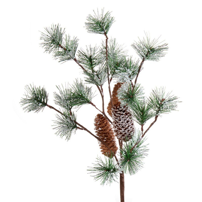 Ramo innevato con pigne Ramo innevato con pigne