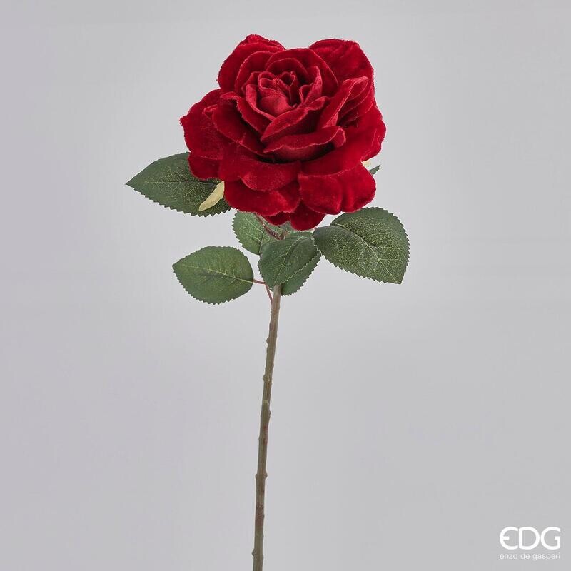 Rosa in Velluto H48 D15