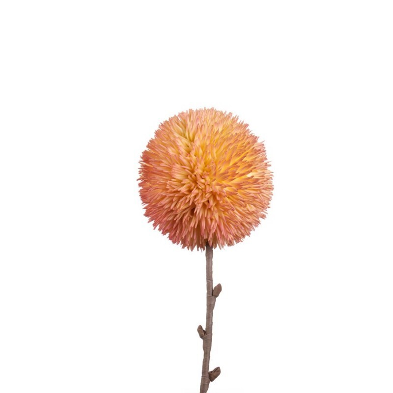 Allium Rosa e Arancio