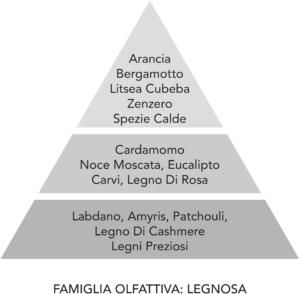 Ricarica Spray Ambiente - Il Fascino