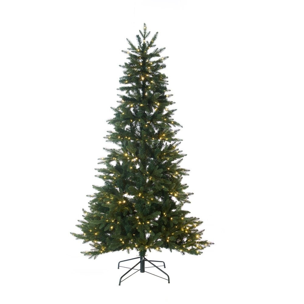 Albero 240H con 660 micro leds - L'Oca Nera