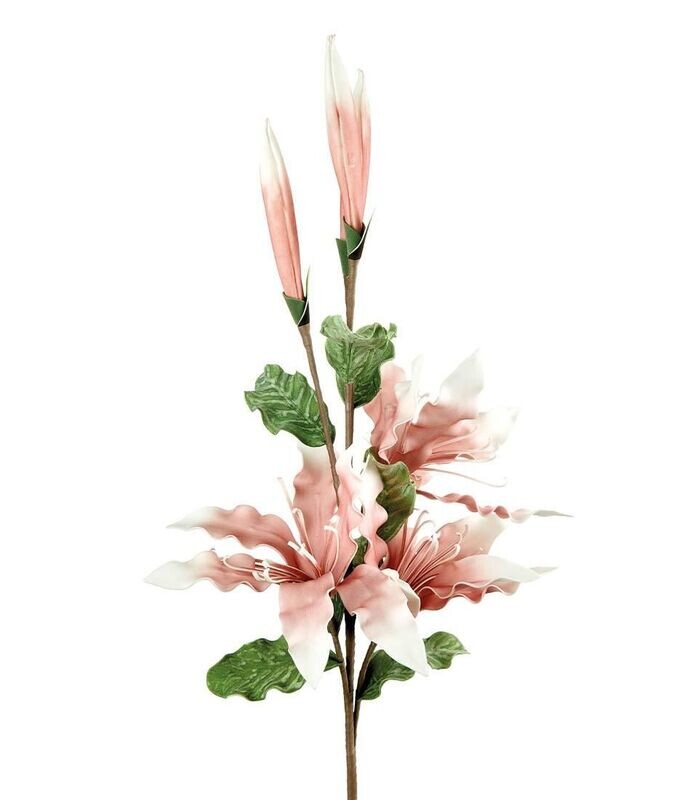 Lilium Rosa - L'Oca Nera