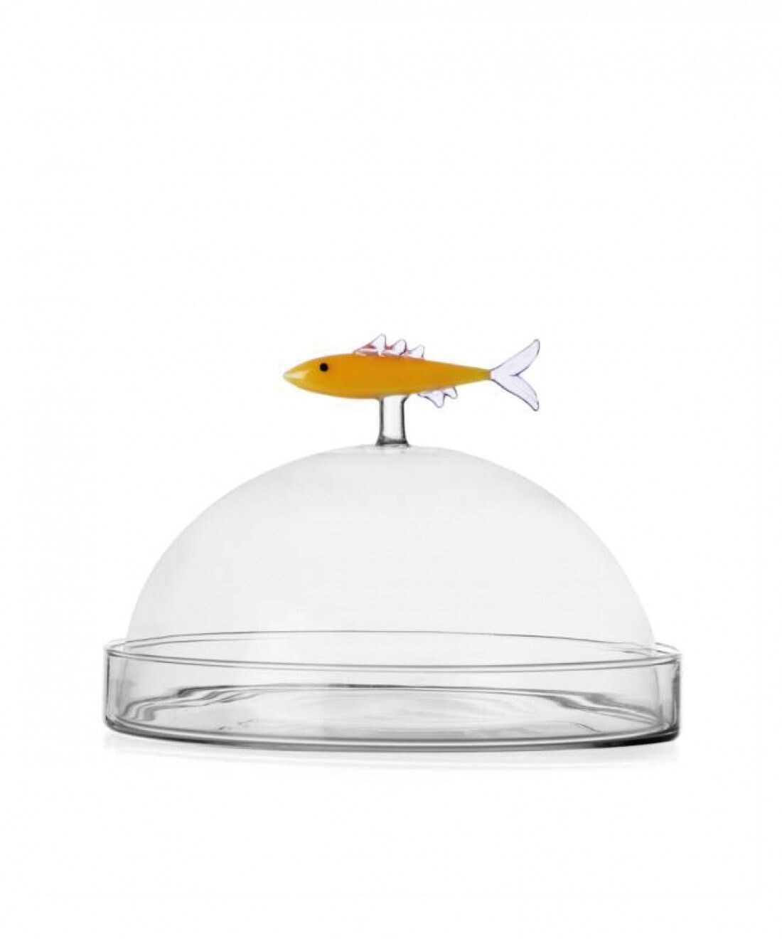 Cupola con piatto sardina - MARINE GARDEN