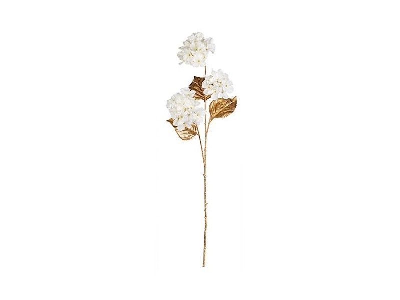 ORTENSIA BIANCA e ORO