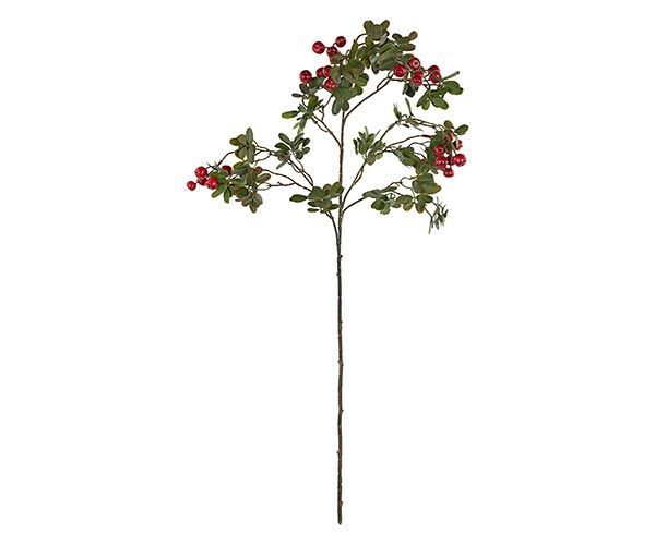 Ramo corniolo rosso