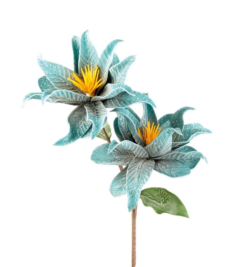 Calypso blu