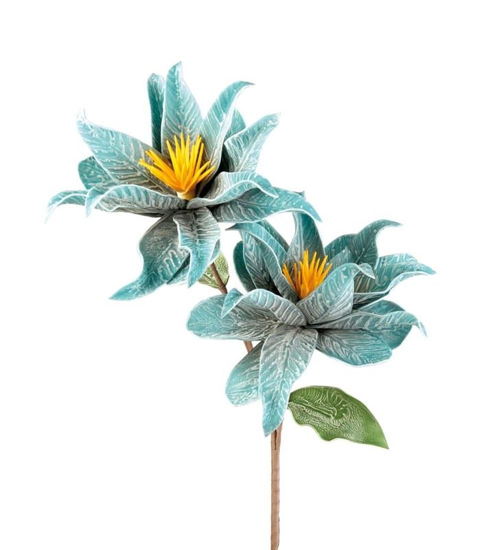 Calypso blu