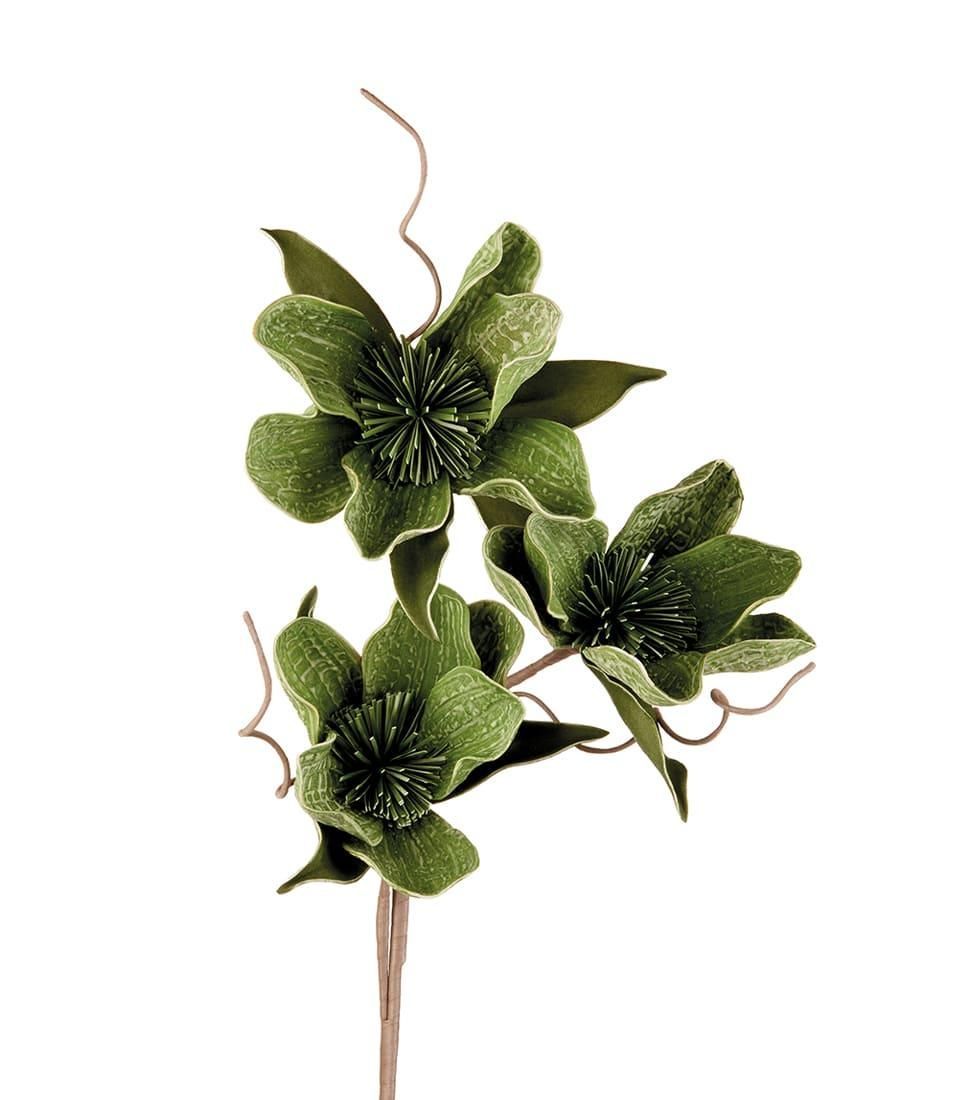 Fiore di Ceiba