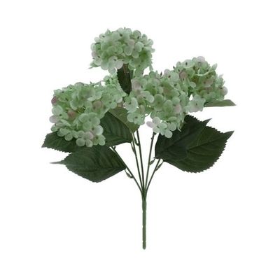 Cespuglio di Ortensie Verdi - Hervit Cespuglio di Ortensie Verdi - Hervit