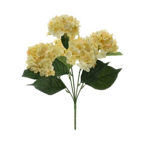 ​Cespuglio di Ortensie Gialle - Hervit