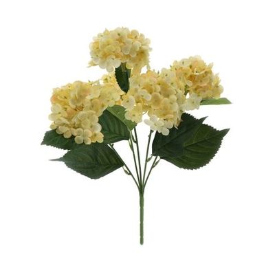 Cespuglio di Ortensie Gialle - Hervit Cespuglio di Ortensie Gialle - Hervit