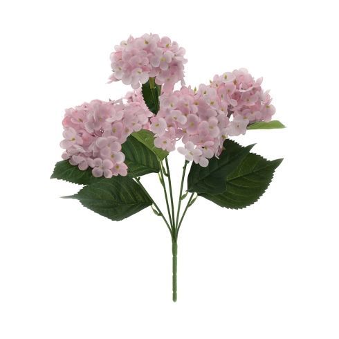 ​Cespuglio di Ortensie rosa - Hervit