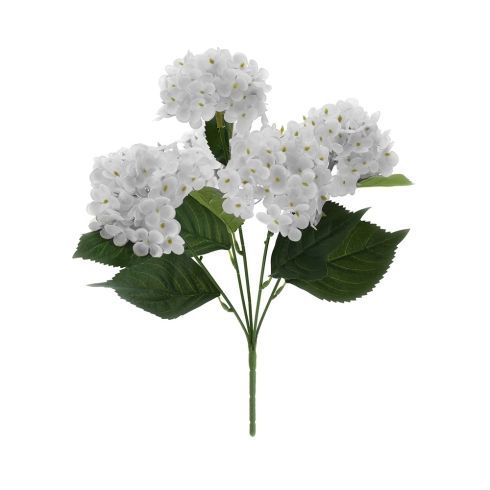 ​Cespuglio di Ortensie Bianche - Hervit