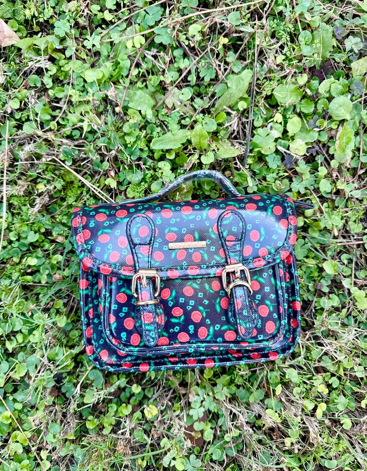 ​Cartella mini Rosy - Naj Oleari