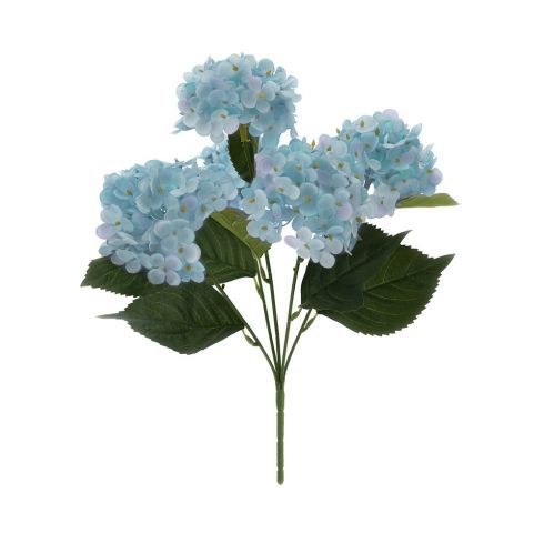 ​Cespuglio di Ortensie Blu - Hervit