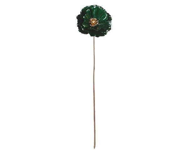 Papavero verde laccato - Tono su tono Papavero verde laccato - Tono su tono