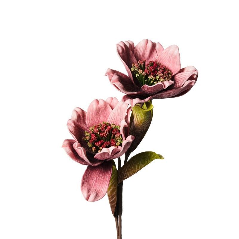 Doppia Magnolia Rosa - Henriette