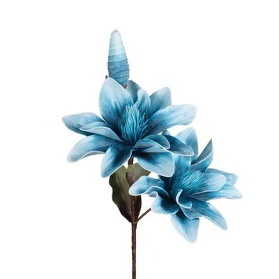 Lilium Azzurro - Henriette Lilium Azzurro - Henriette