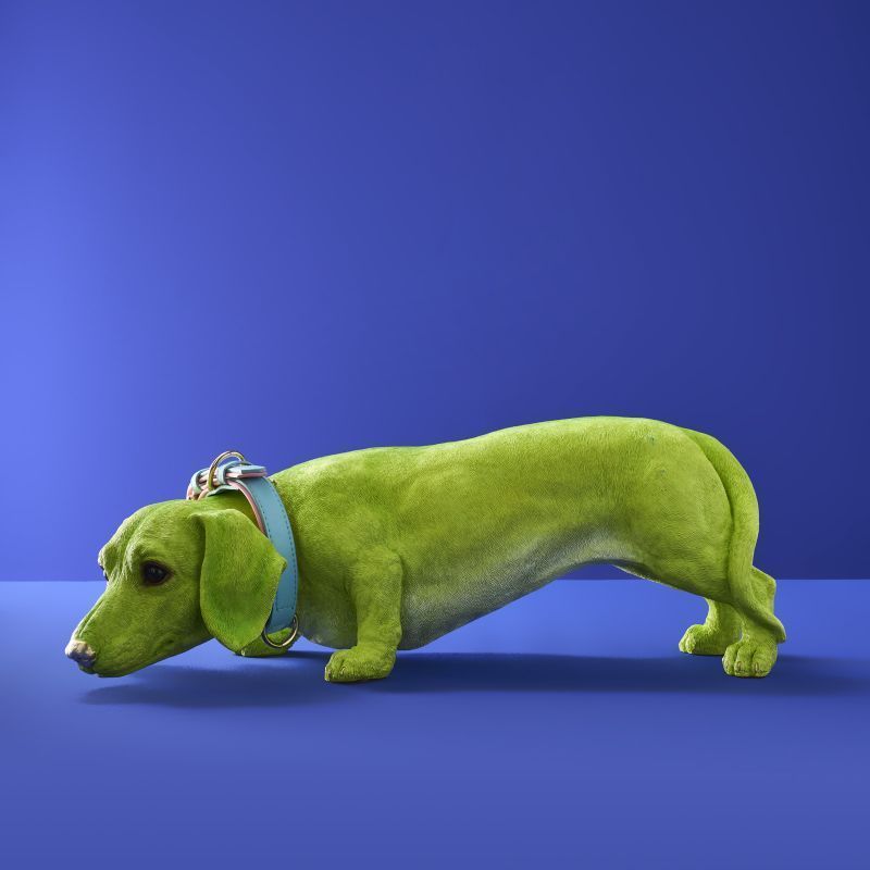 Figura decorativa cane Bassotto verde con collare Wilfried - Werns