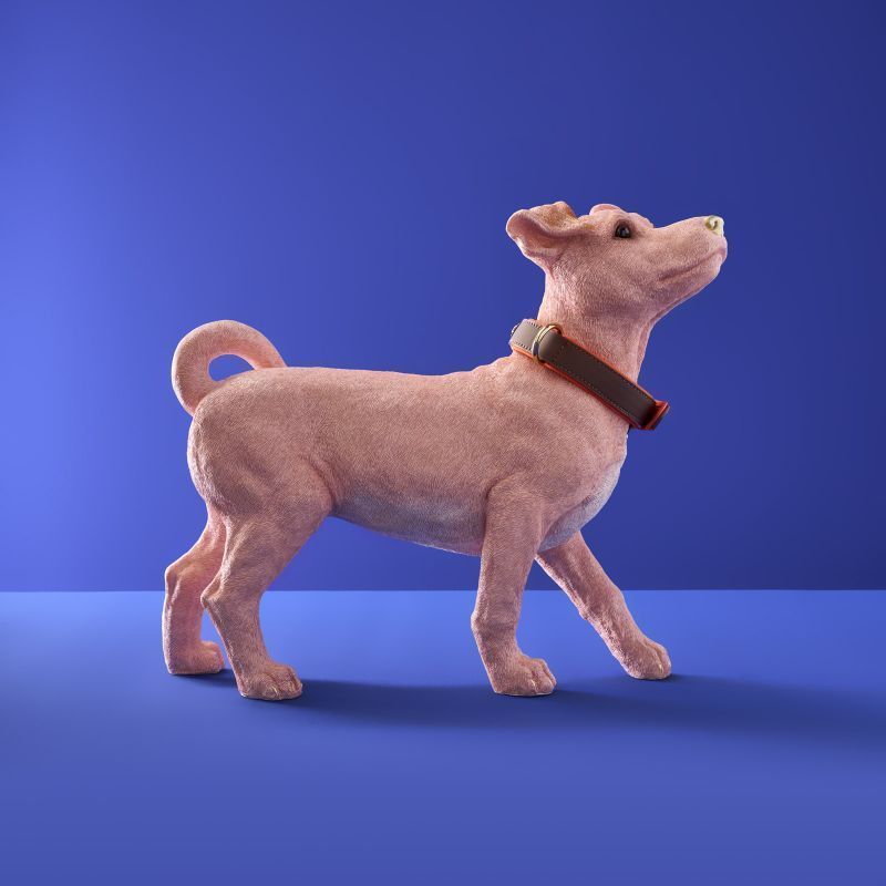 Figura decorativa cane rosa Charlie con collare - Werns