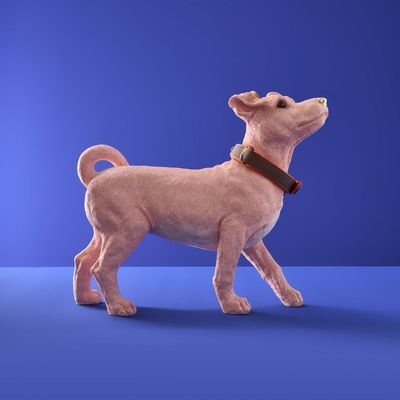 Figura decorativa cane rosa Charlie con collare - Werns