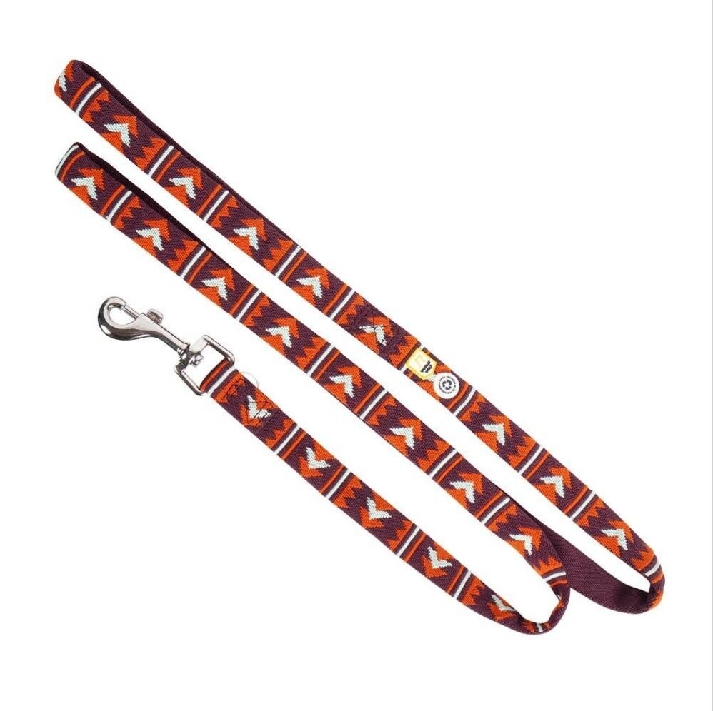 Laisse Polar Night pour chien