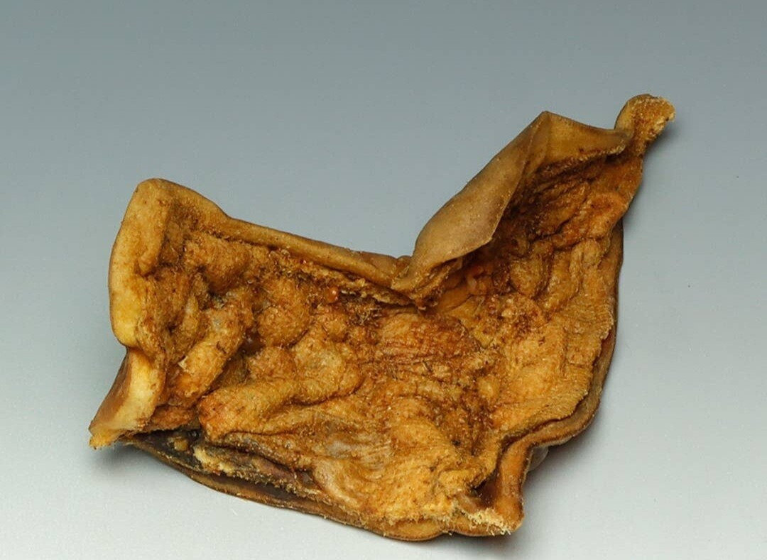 Plaque de peau de bovins 500 grammes