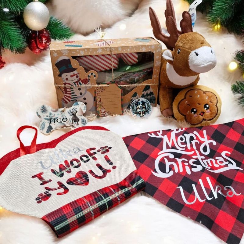 Box de Noël