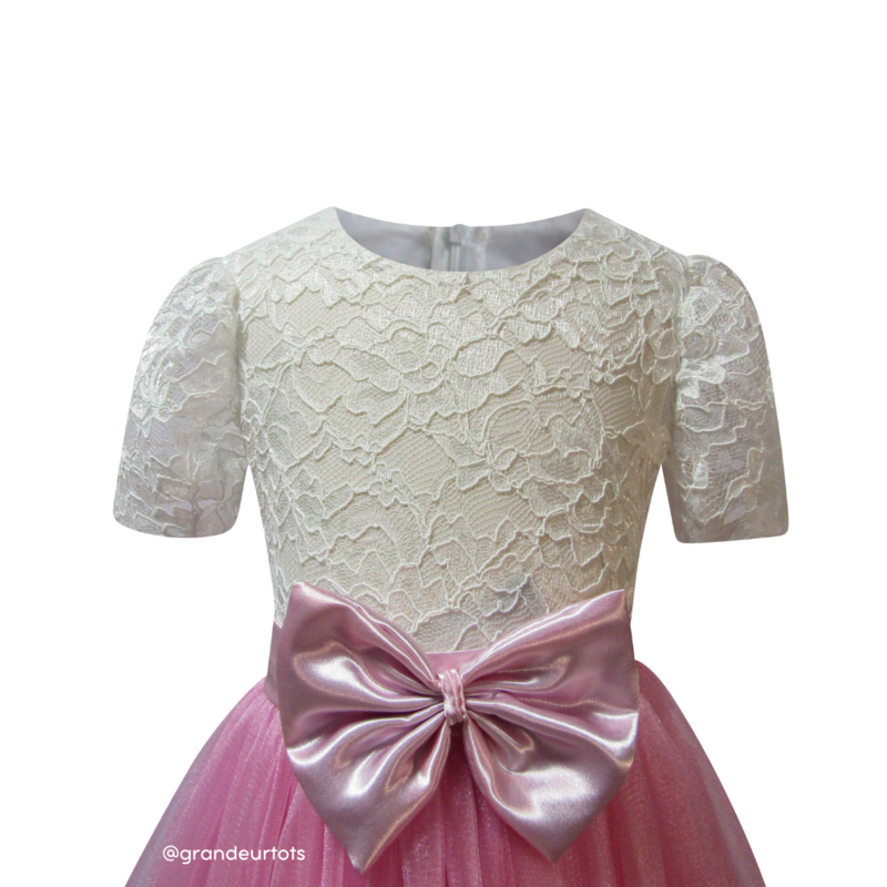 Ancy Dress For Girls - Pink