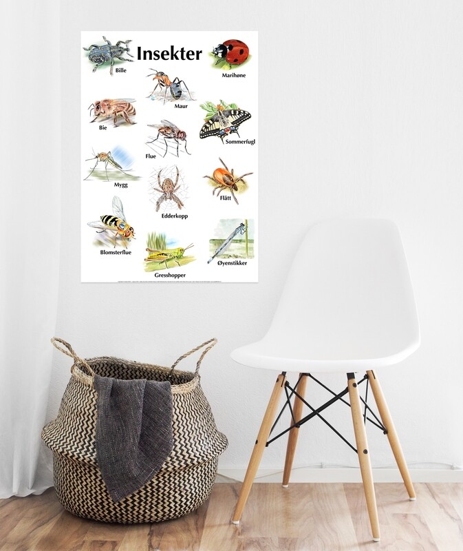 Plakat med bare bilder - Småkryp