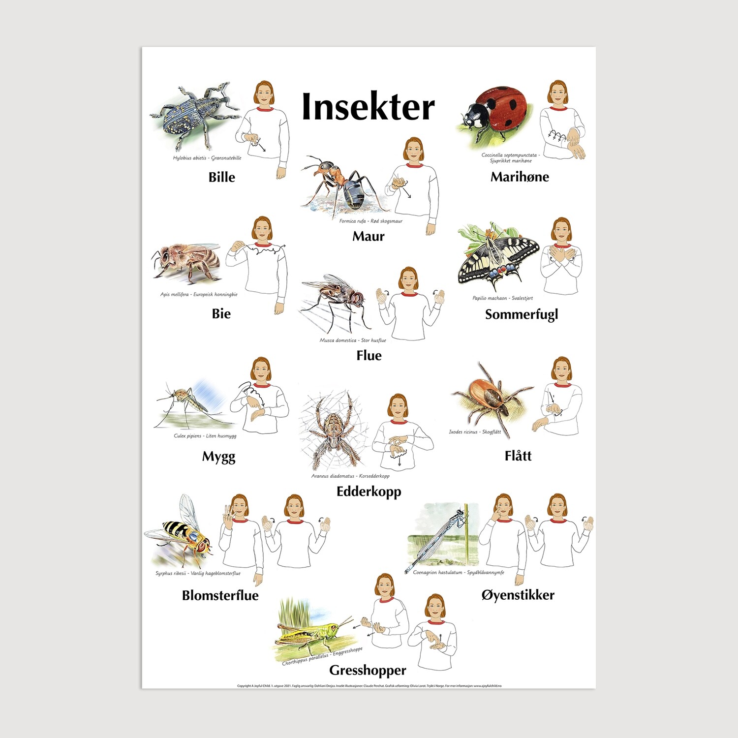 Plakat med bilder &amp; tegn - Småkryp