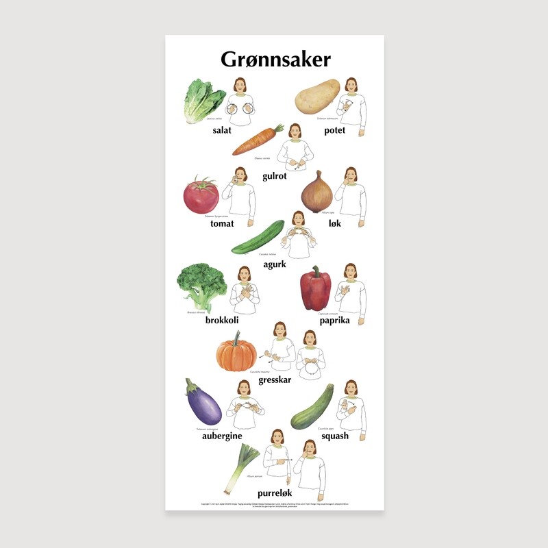 Plakat med bilder &amp; tegn - Grønnsaker