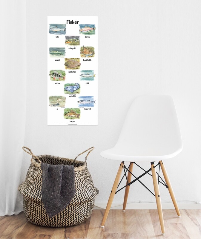 Plakat med bare bilder - Fisk