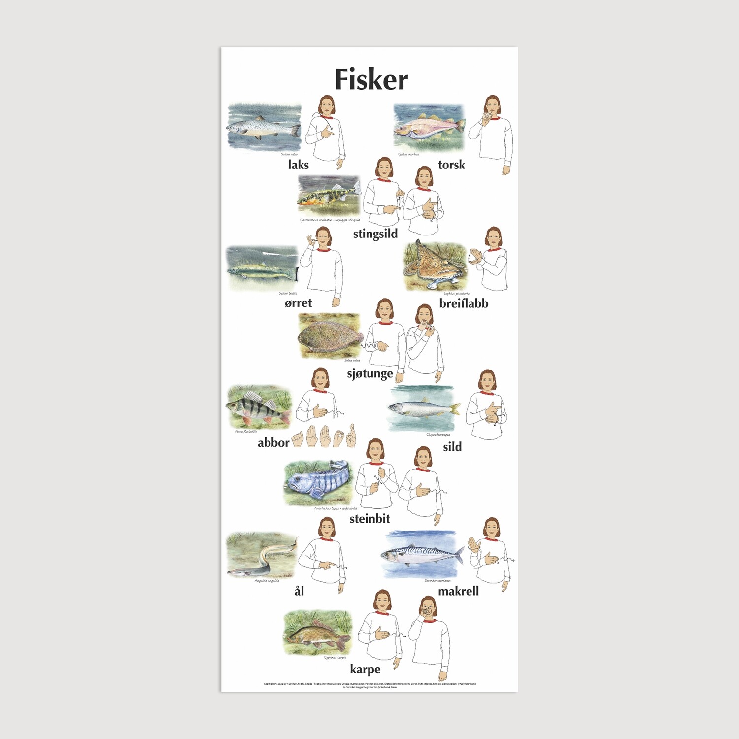 Plakat med bilder &amp; tegn - Fisk