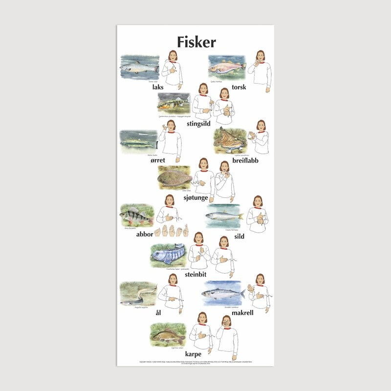 Plakat med bilder &amp; tegn - Fisk