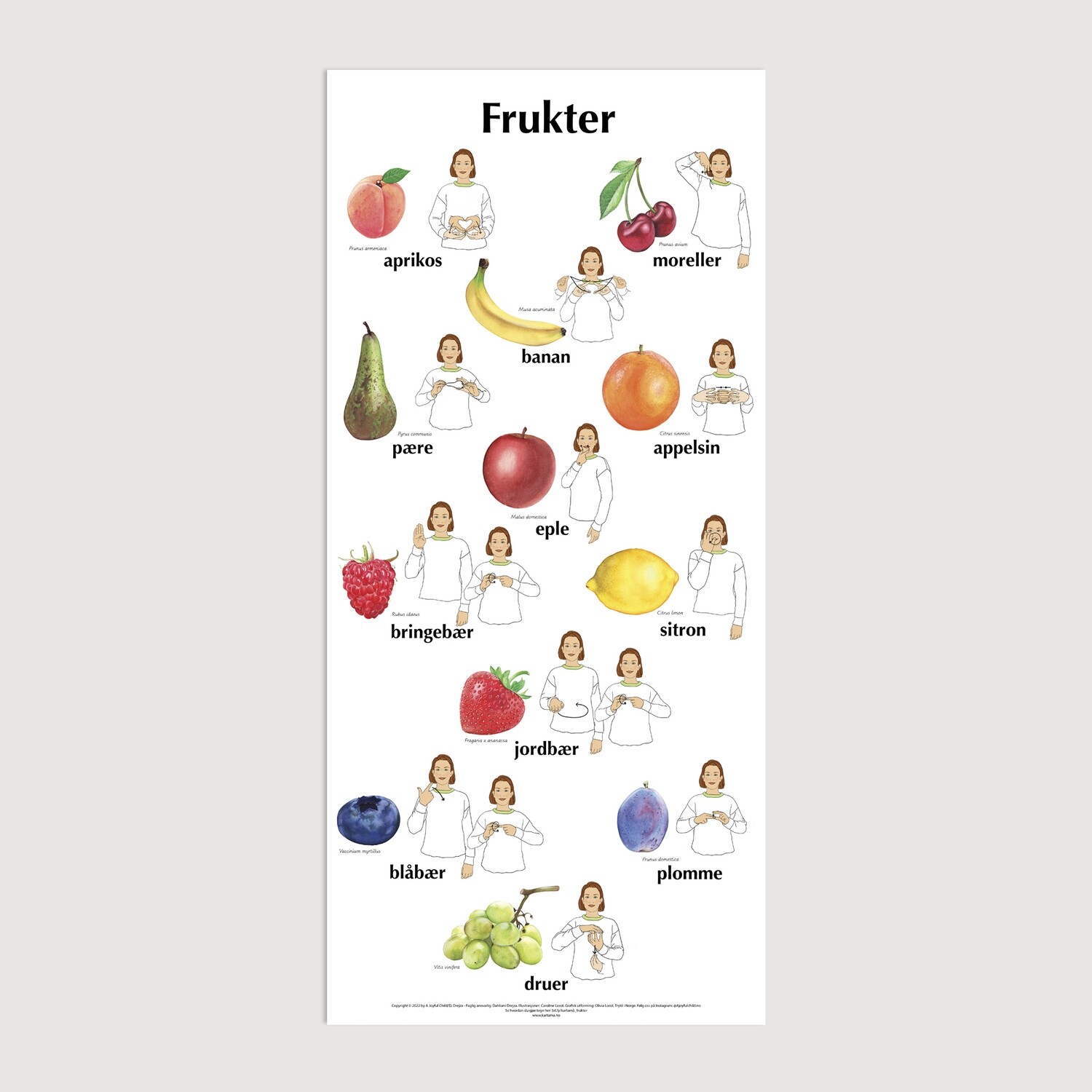 Plakat med bilder &amp; tegn - Frukter