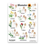 Plakat med bilder &amp; tegn - Blomster