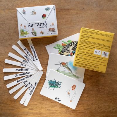 Kortspill Kartong