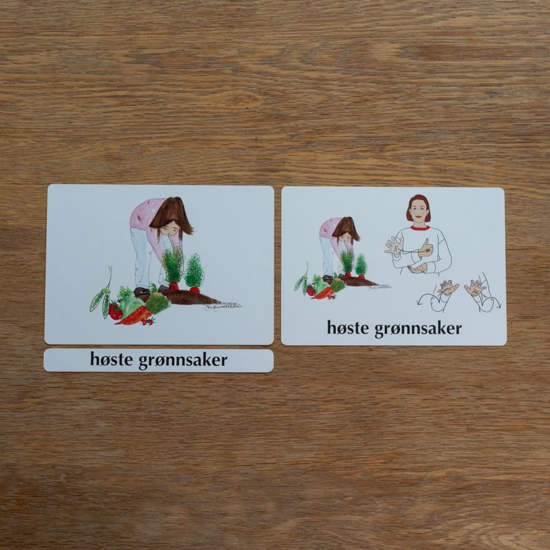 Kartamå spillet - NeverTear - Hagearbeid